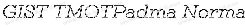 GIST TMOTPadma Normal字体转换